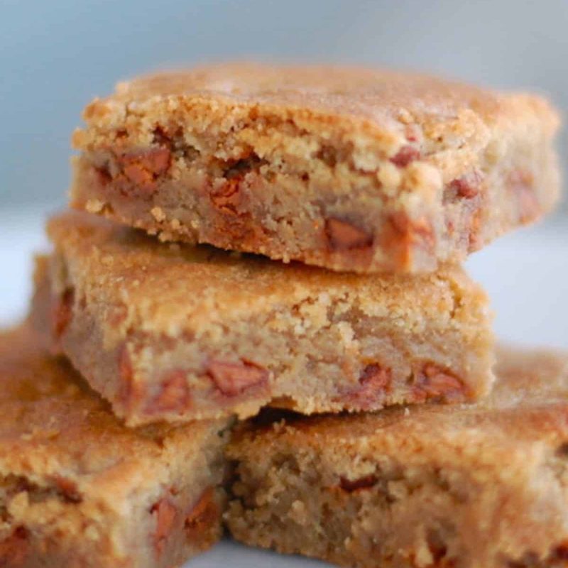 A picture of Snickerdoodle Blondies